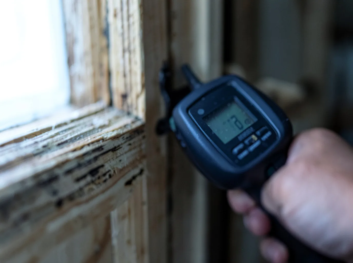 Moisture Inspection And Documentation in Yucca, AZ